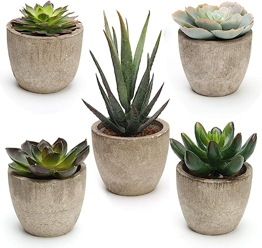 bridal shower guest favors