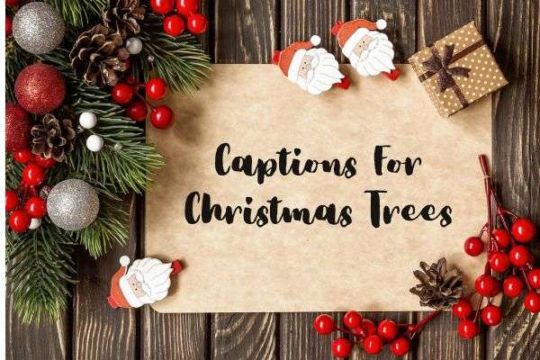 captions for christmas trees