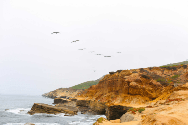 Point Loma Tide Pools, California