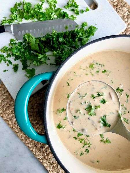 Hungarian Mushroom Soup
