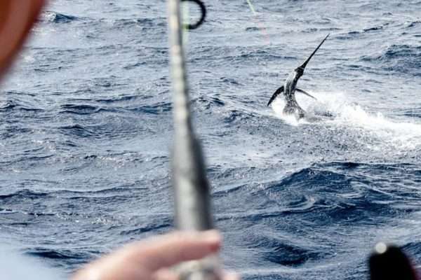 Ponce Inlet, Florida