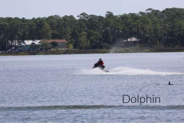 Orange Beach, Alabama