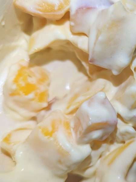 Orange Cream Dressed Mango Nectarine Summer Fruit Salad
