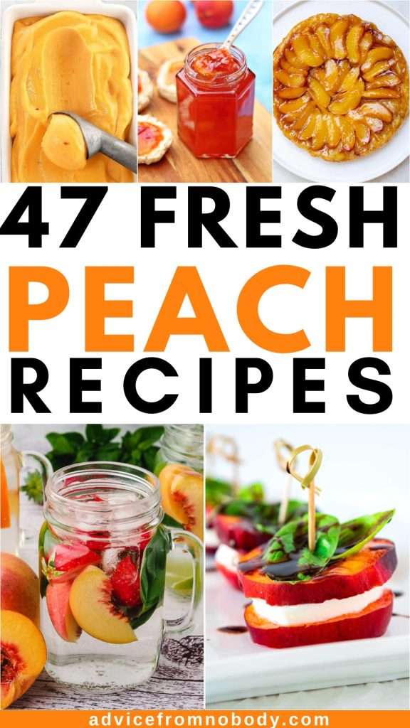 47 Fresh Peach Recipes