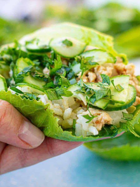 Lettuce Wraps with Peanut Sauce