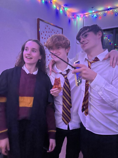 Harry, Ron, and Hermione trio halloween costume ideas