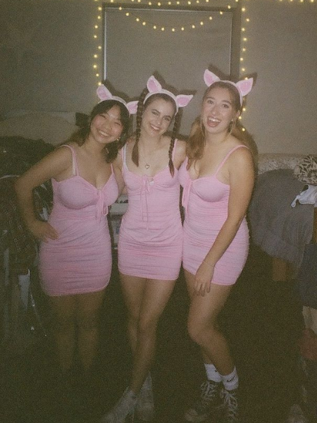 The Three Little Pigs Halloween costume ideas for 3