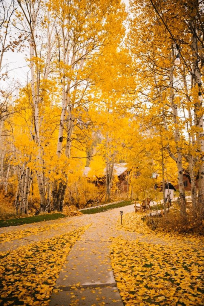 cheap date ideas in fall
